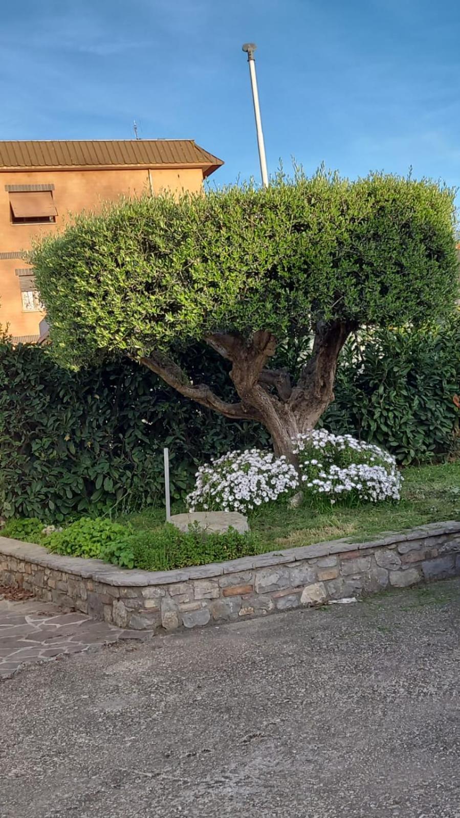 Holiday home Casetta Delle Fiabe